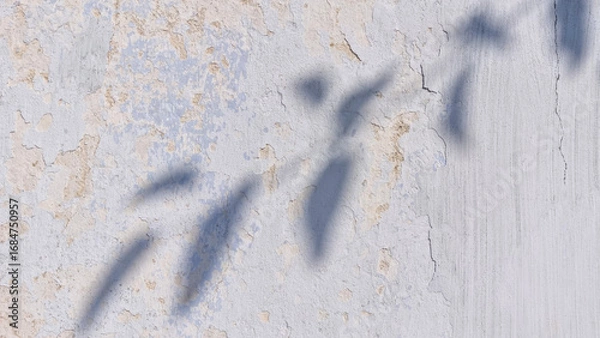 Fototapeta Old cracked plaster wall with peeling paint and shadows of leaves. Minimalistic texture and architectural background. Design with copy space