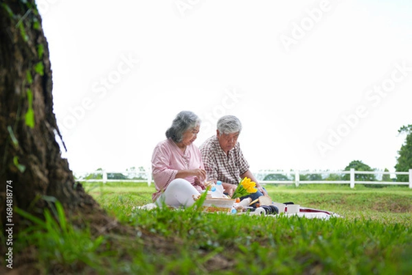 Fototapeta Elderly Couple Sitting on Picnic Blanket and Sharing Food in Green Park, Man and Woman Relaxing Outdoors with Picnic in Nature, Senior Couple Enjoying Leisure Time and Meal Together in Park