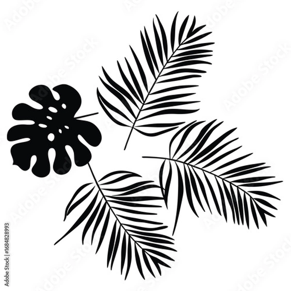 Fototapeta A minimalist composition of tropical leaves creates a natural and elegant design isolated on white background vector black and white flower