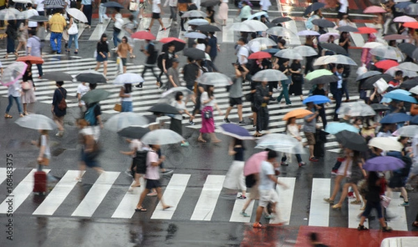 Obraz 日本の東京都市風景・東京・渋谷のスクランブル交差点の雑踏（雨）