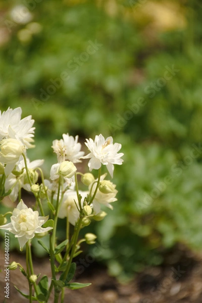Obraz 東山植物園