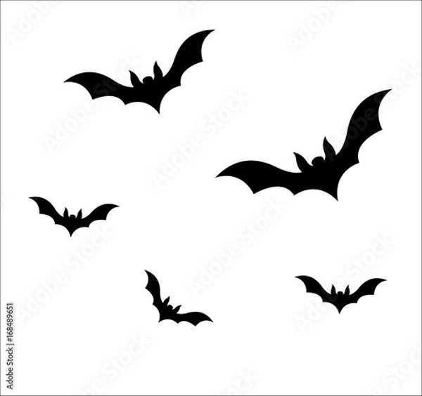 Fototapeta Flying Bats Vector