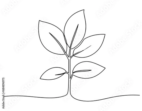 Obraz Single-line drawing of a young plant with leaves