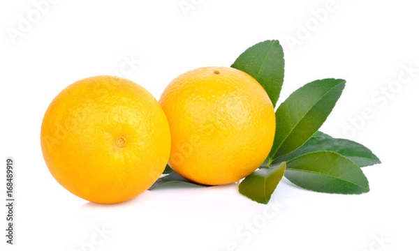 Fototapeta orange on white background