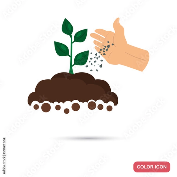Fototapeta Putting fertilizer to the agriculture crop color flat icon for web and mobile design