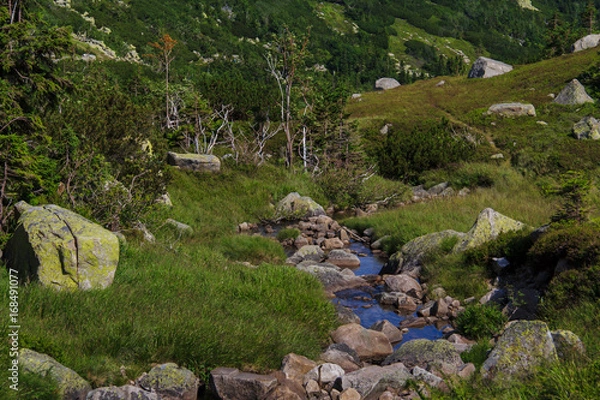 Obraz Karkonosze potok