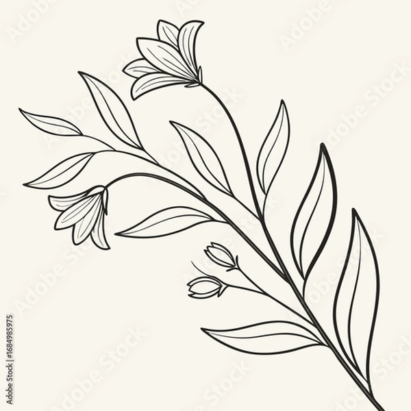 Fototapeta minimal botanical graphic sketch drawing vector template