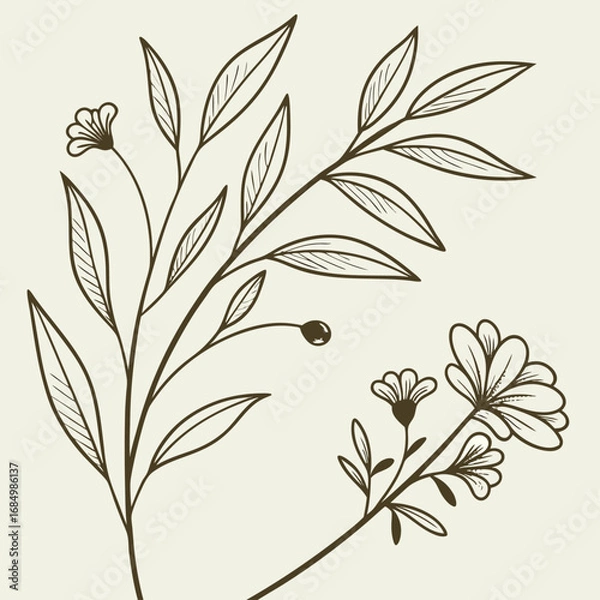 Fototapeta minimal botanical graphic sketch drawing vector template