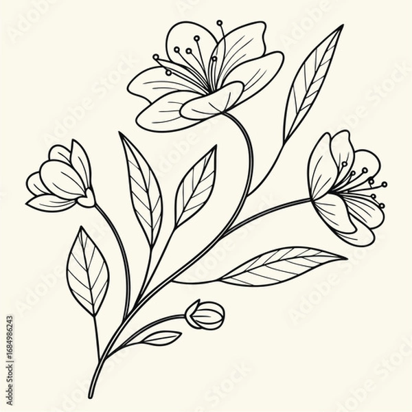 Fototapeta minimal botanical graphic sketch drawing vector template