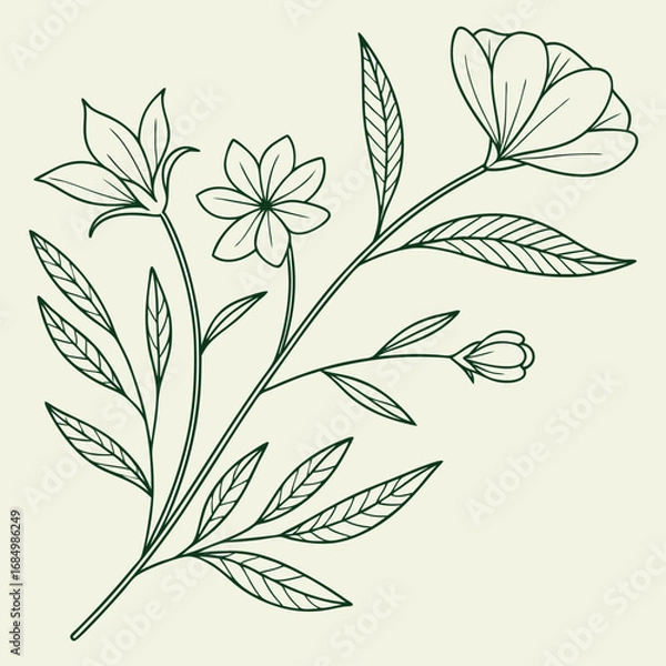 Fototapeta minimal botanical graphic sketch drawing vector template