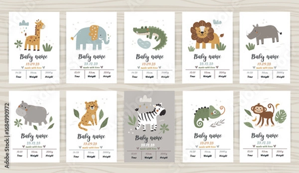 Fototapeta Big set of templates for baby metrics with safari animals. Date of birth, height, weight. Perfect for kids bedroom, nursery decoration, posters and wall decorations