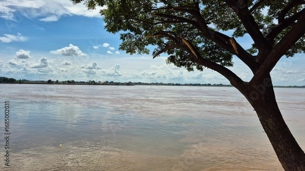 Obraz Mekong River in Laos
