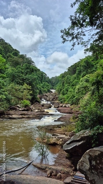 Obraz river in the mountains