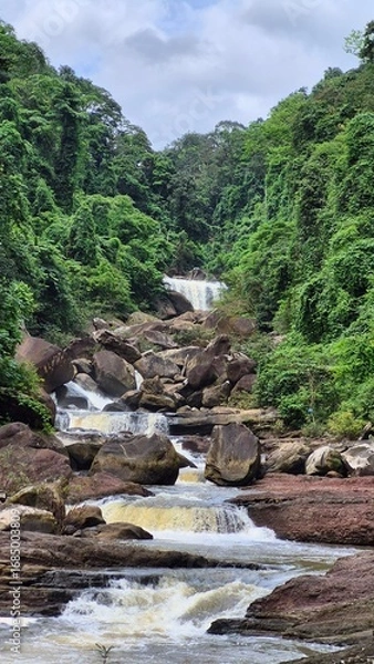 Obraz mountain river in the forest