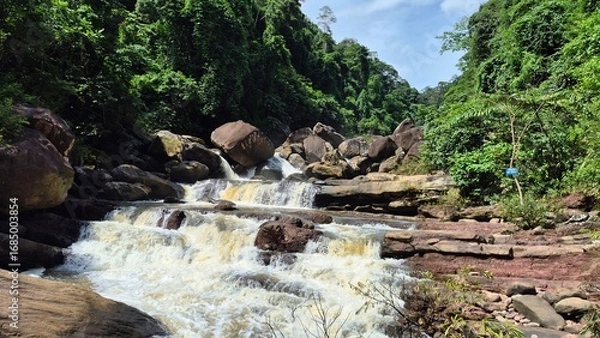 Obraz waterfall in the woods