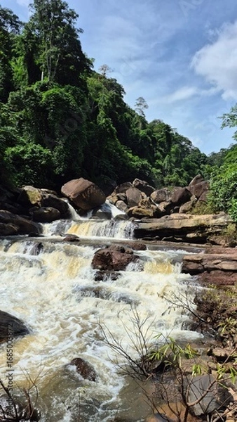Obraz river in the mountains