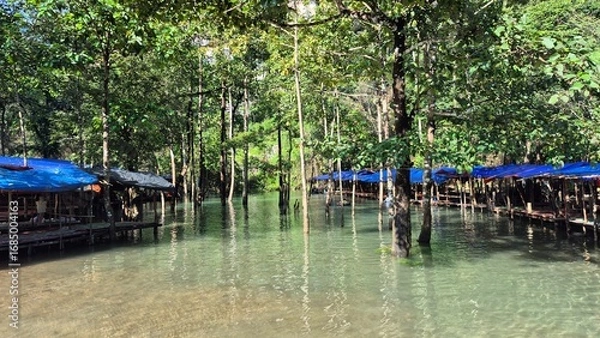 Obraz Trees in the water