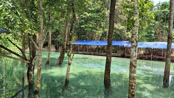 Obraz wooden bridge over the river