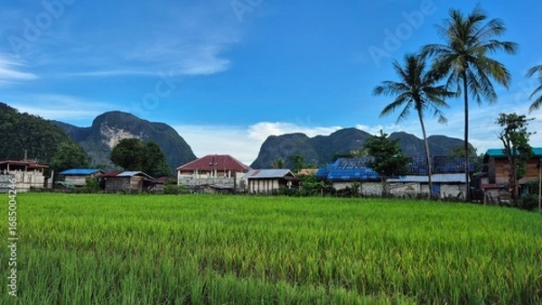 Obraz rice field in bali Laos