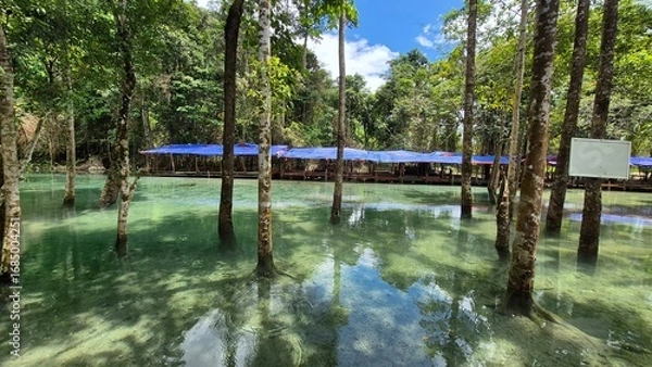 Obraz wooden bridge over the river