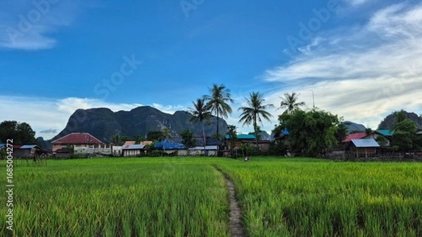 Obraz rice field in lao