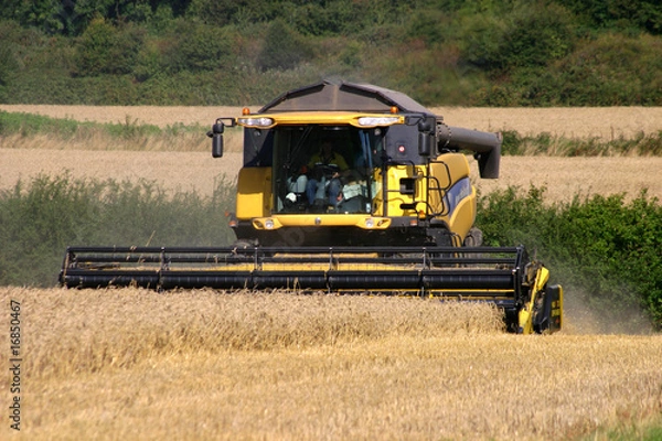 Obraz Combine Harvester
