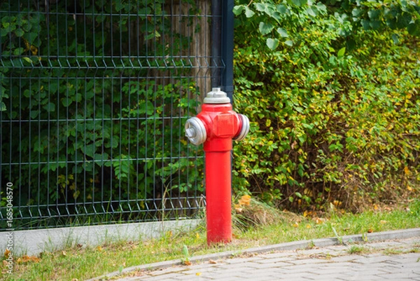 Obraz red fire hydrant on the street