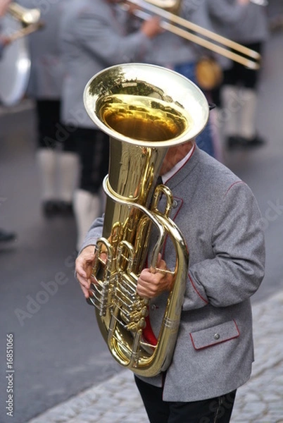 Obraz Tuba