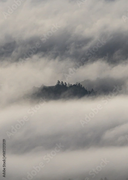 Obraz fog over the river