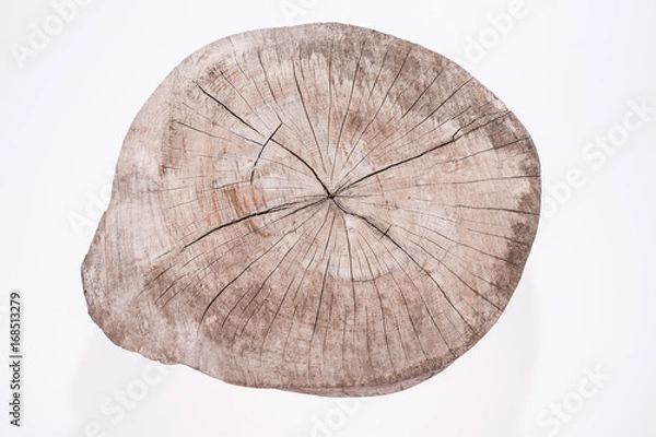 Fototapeta Baumscheibe