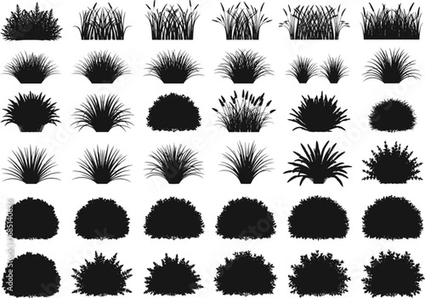 Fototapeta Black silhouette bush and grass icons, botanical vector set, nature foliage elements, landscaping design, ornamental plants, shrub shapes, spiky grass forms