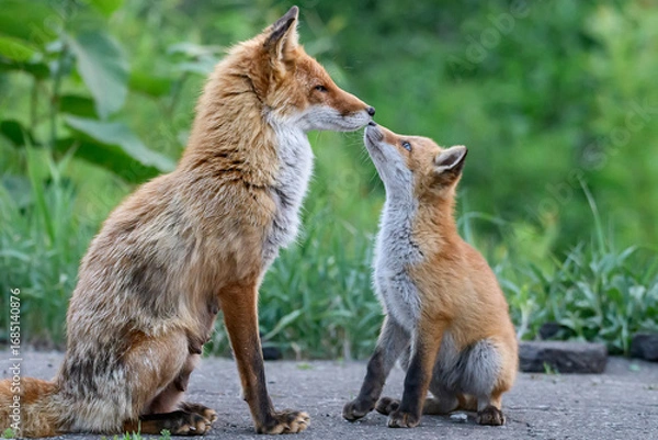 Obraz parent and child