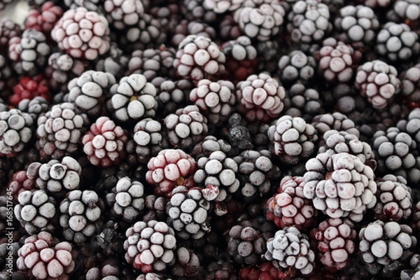 Fototapeta Schwarzbeeren