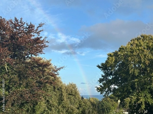 Obraz Rainbow over the sea in between trees