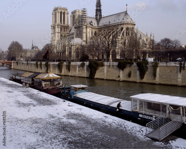 Fototapeta notre dame catherdral paris