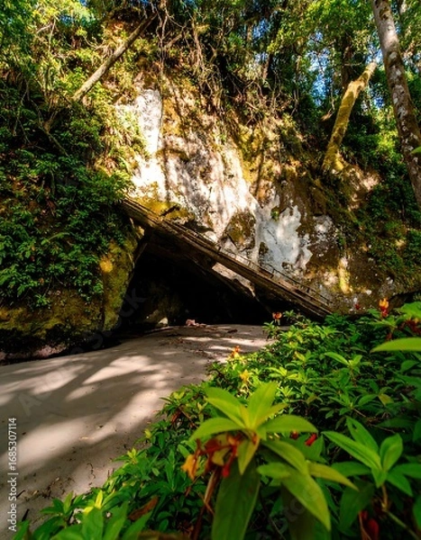 Fototapeta Lush coastal cave entrance