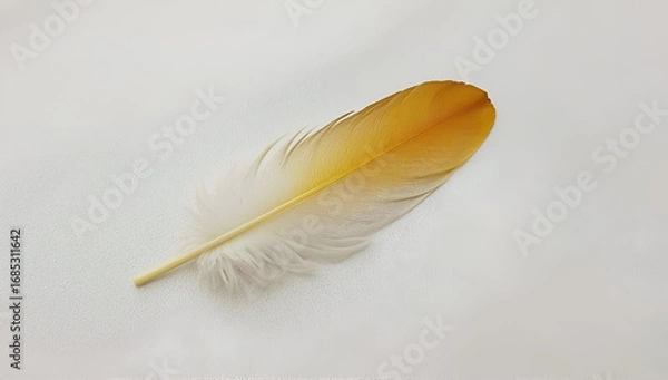 Fototapeta Close-up of Feather with Yellow and White Colors on Light Background
