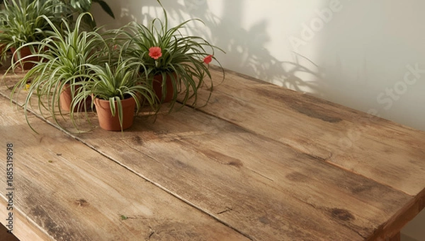 Fototapeta Rustic Wooden Table with Spider Plants and Red Flowers in Pots