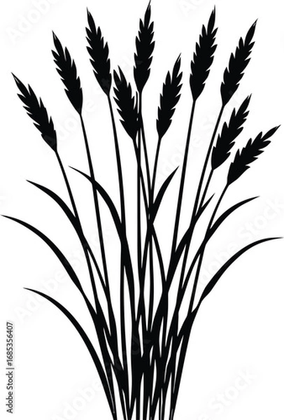 Fototapeta Close-up view of a black textured surface with subtle lighting and fine detail. transparent background