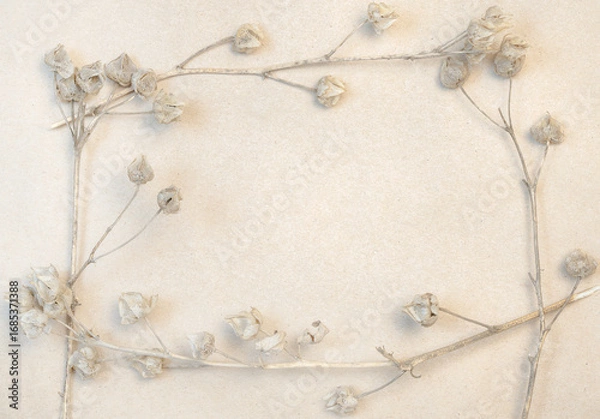 Fototapeta Macro photo of dried beige hollyhock buds forming frame on kraft paper