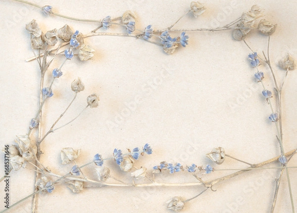 Fototapeta Macro photo of dried beige hollyhock buds and blue lavender forming frame on kraft paper