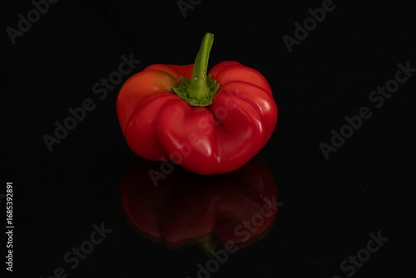 Fototapeta rote Paprika