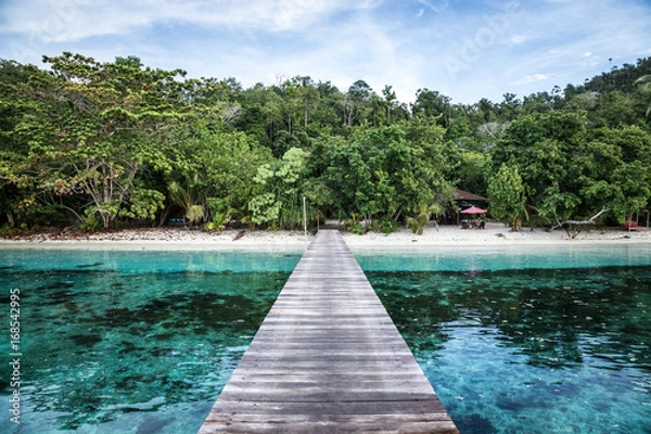 Obraz Jetty towards Jungle