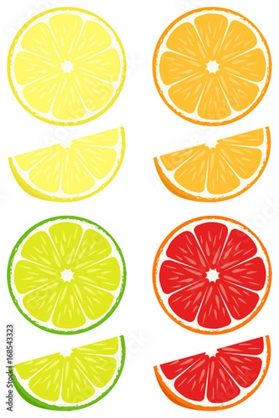 Fototapeta Citrus slices vector set
