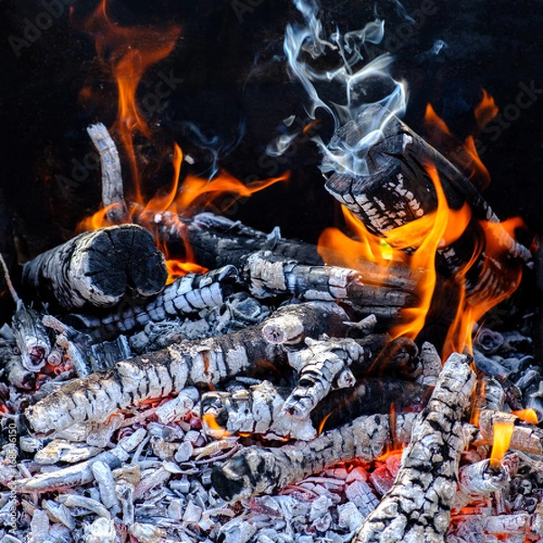 Fototapeta Burning logs