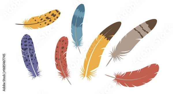 Fototapeta Collection of seven colorful and textured bird feathers scattered against a white background