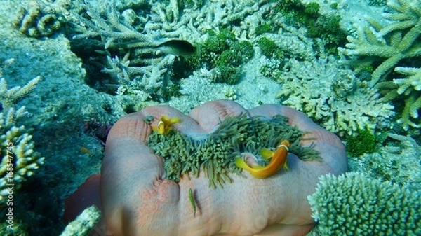 Obraz Sea Floor