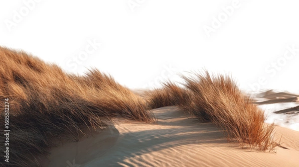 Obraz Desert dunes with tall grass