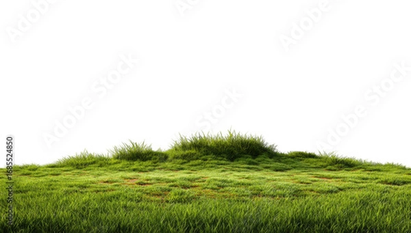 Obraz Lush green grassy hill against black background