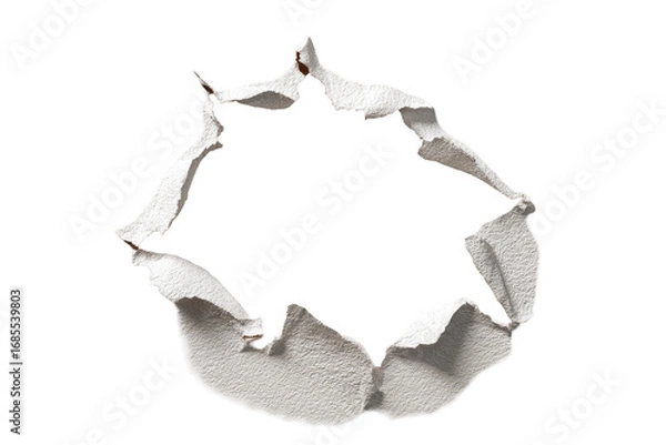 Fototapeta Torn paper circle, irregular edges,  white on black